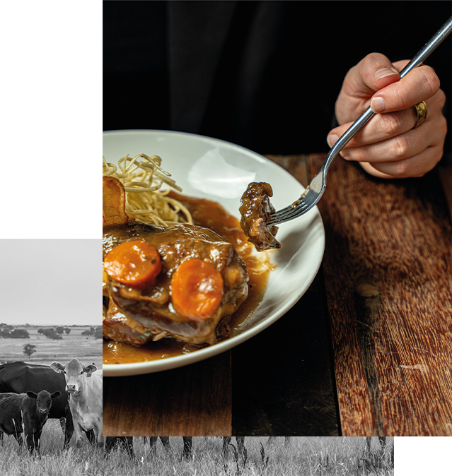 Entre Cotes et Vins -  Restaurant route d Espagne Toulouse - bon restaurant TOULOUSE